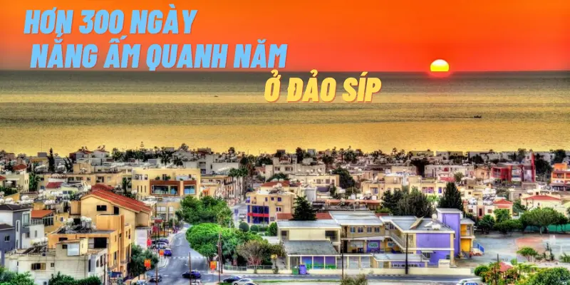 dao-sip-o-dau